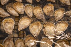 u koje doba dana piti cink