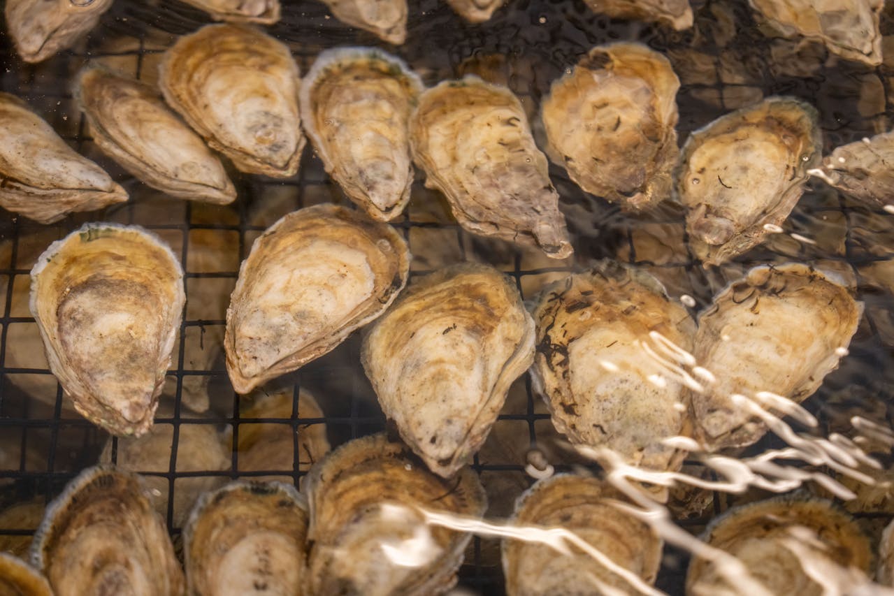 u koje doba dana piti cink